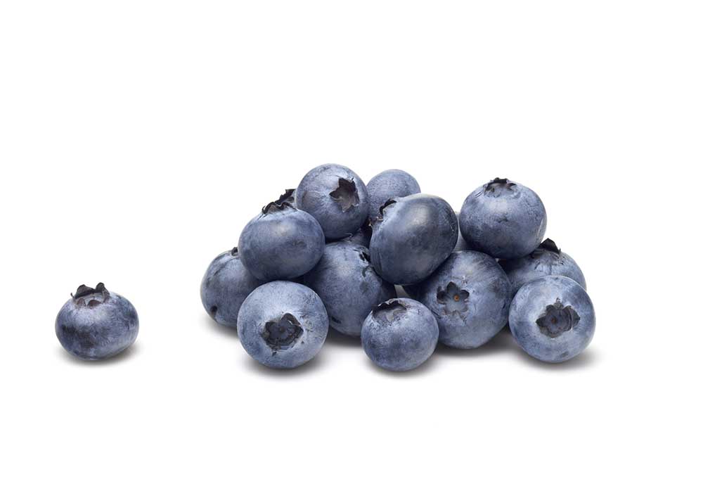 Are Blueberries Good For Dogs?