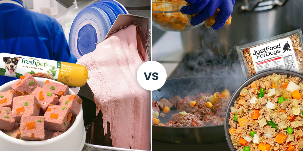 Fresh Fast Food for Dogs: Meat Smoothies in Dog Food