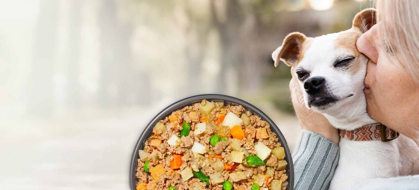 picture of a happy dog with an overlay of fresh dog food bowl