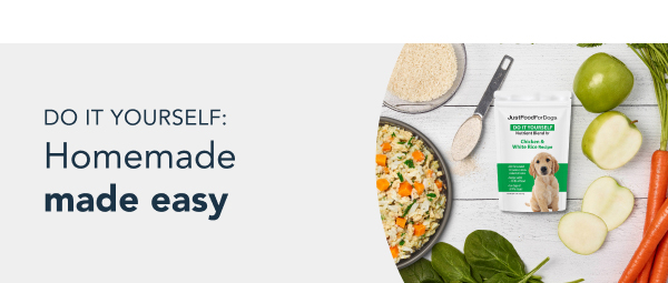 healthy meals for dogs banner tablet