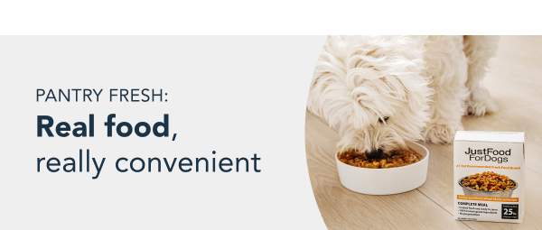 healthy meals for dogs banner tablet