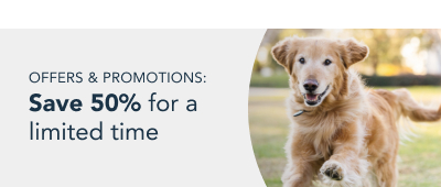 healthy meals for dogs banner tablet