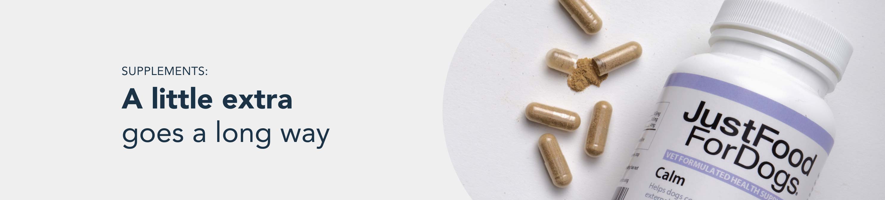 healthy meals for dogs banner tablet
