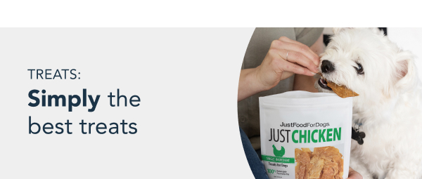 healthy meals for dogs banner tablet