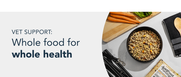 healthy meals for dogs banner tablet