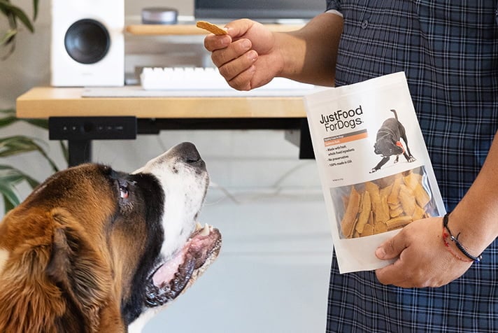 big dog being fed a dog treat