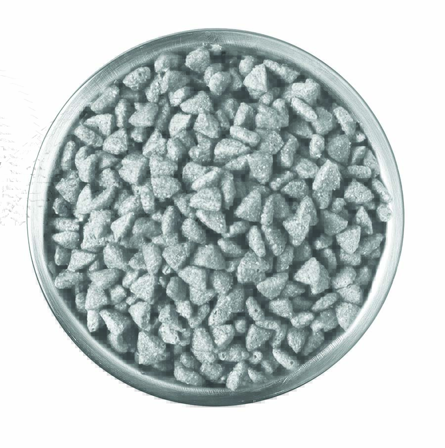 Symptoms of Mycotoxin Poisoning in Dogs