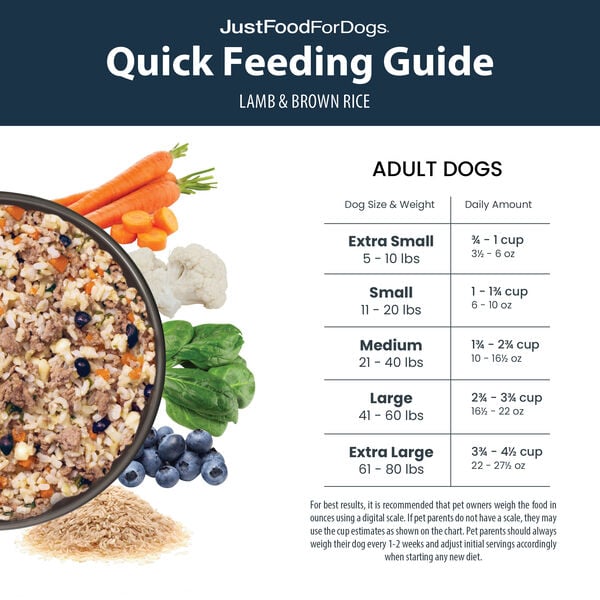 Lamb & Brown Rice 18 oz (7 Pack) Small Box