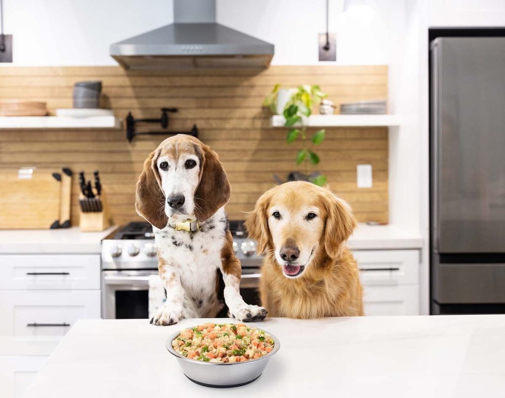 custom dog food