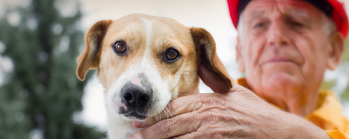 Natural Disaster Preparedness and Your Pets