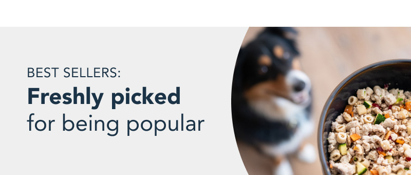 healthy meals for dogs banner tablet