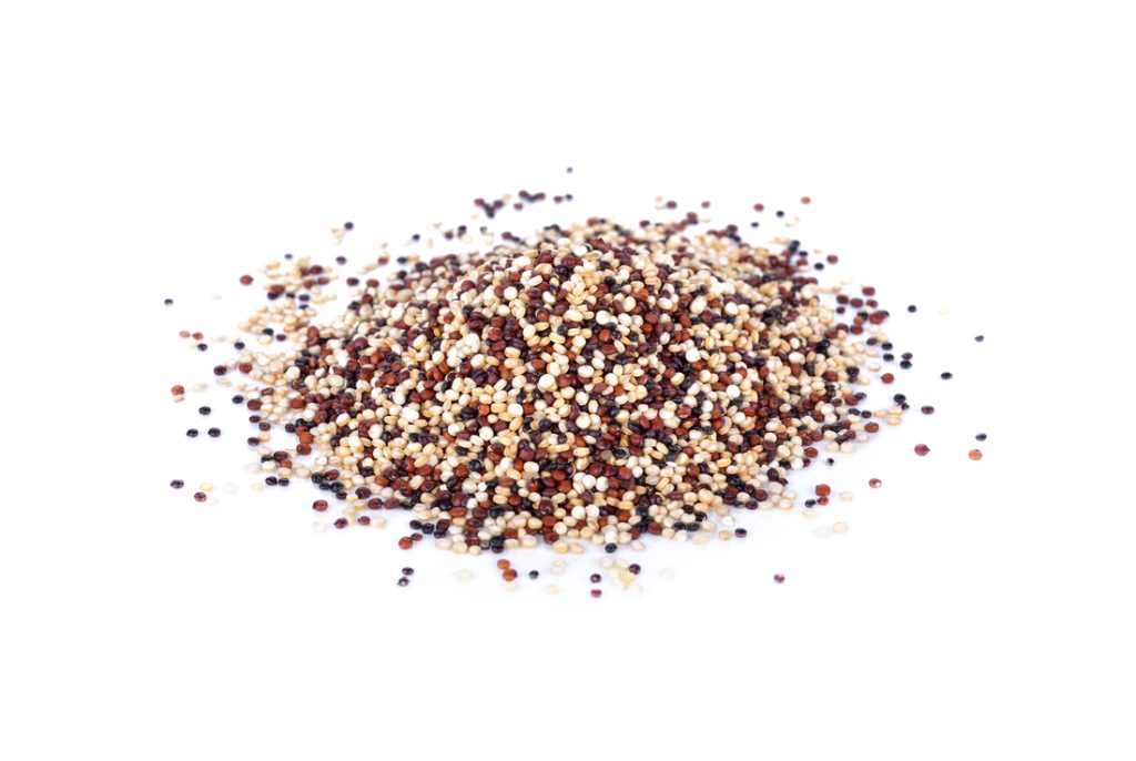 can dogs have quinoa