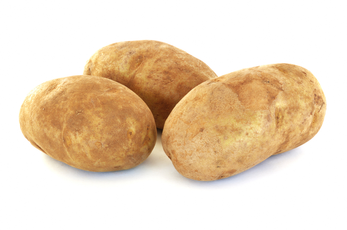 Can Dogs Eat Russet Potatoes?