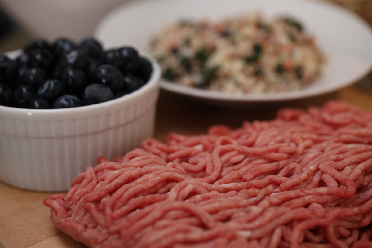 A Guide to Single-Protein Dog Food