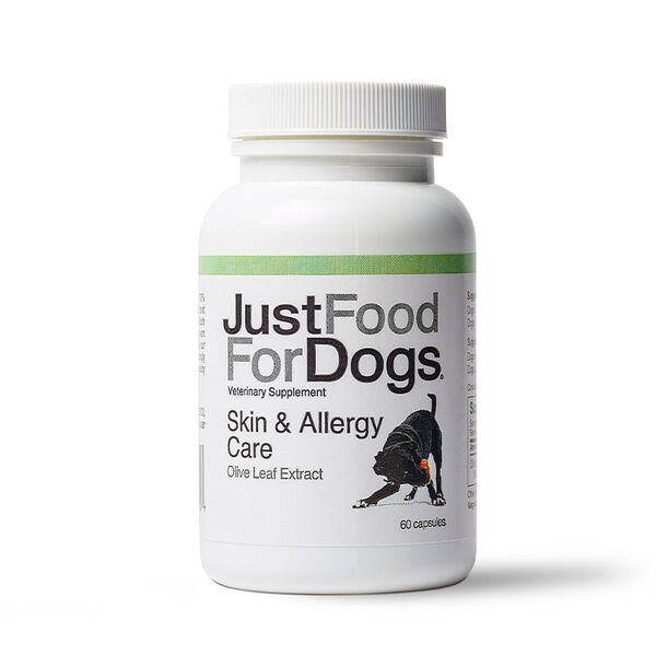 Healthy Skin & Coat Supplement Bundle
