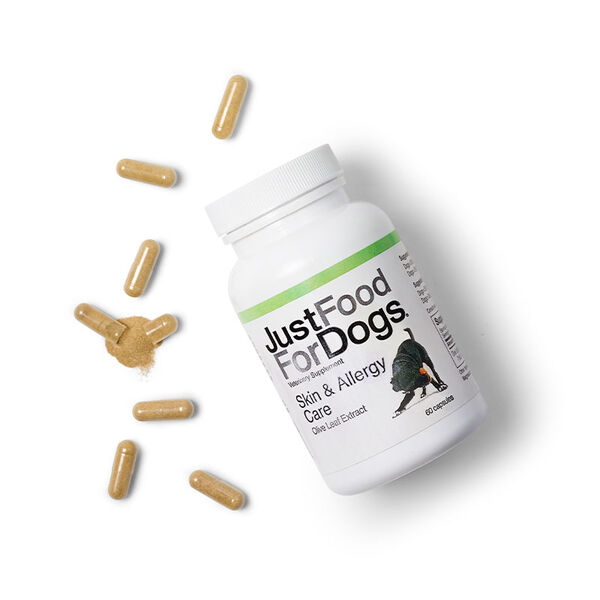 Healthy Skin & Coat Supplement Bundle