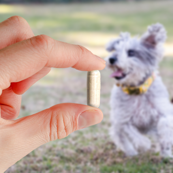 Joint Care Plus (60 Capsules)